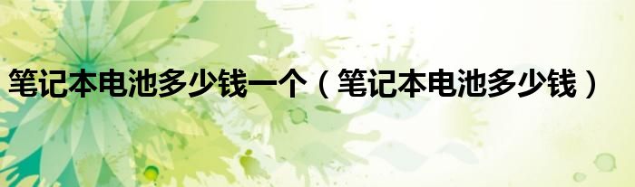 笔记本电池多少钱一个（笔记本电池多少钱）
