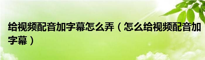 给视频配音加字幕怎么弄（怎么给视频配音加字幕）