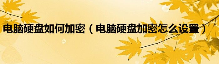 电脑硬盘如何加密（电脑硬盘加密怎么设置）