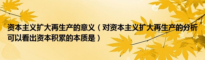 资本主义扩大再生产的意义（对资本主义扩大再生产的分析可以看出资本积累的本质是）