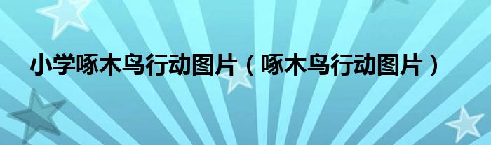 小学啄木鸟行动图片（啄木鸟行动图片）