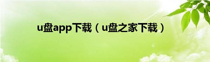 u盘app下载（u盘之家下载）
