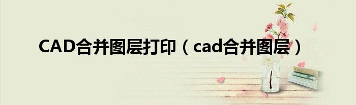 CAD合并图层打印（cad合并图层）