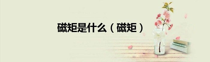 磁矩是什么（磁矩）
