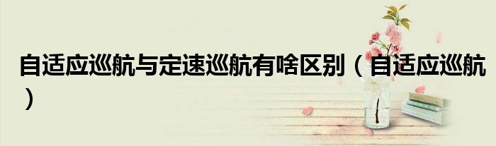 自适应巡航与定速巡航有啥区别（自适应巡航）