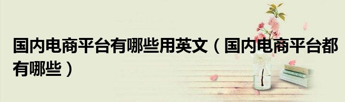 国内电商平台有哪些用英文（国内电商平台都有哪些）