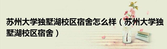 苏州大学独墅湖校区宿舍怎么样（苏州大学独墅湖校区宿舍）