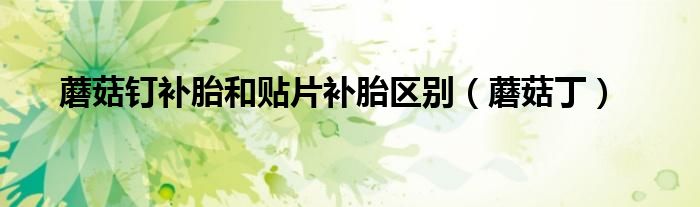 蘑菇钉补胎和贴片补胎区别（蘑菇丁）