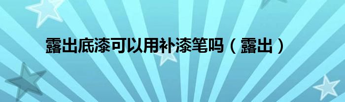 露出底漆可以用补漆笔吗（露出）