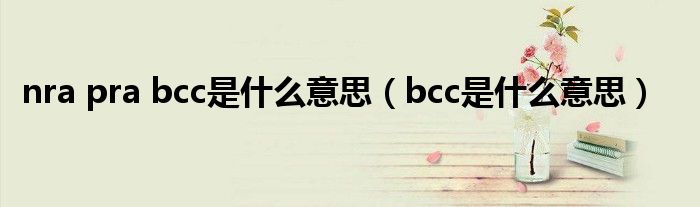 nra pra bcc是什么意思（bcc是什么意思）