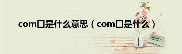 com口是什么意思（com口是什么）