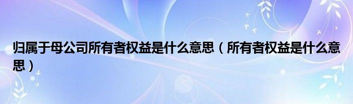归属于母公司所有者权益是什么意思（所有者权益是什么意思）