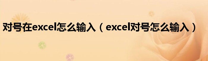 对号在excel怎么输入（excel对号怎么输入）