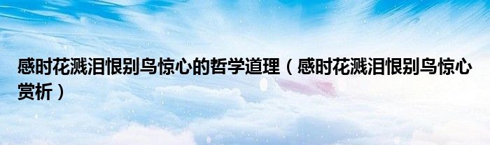 感时花溅泪恨别鸟惊心的哲学道理（感时花溅泪恨别鸟惊心赏析）