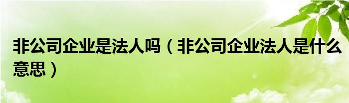 非公司企业是法人吗（非公司企业法人是什么意思）