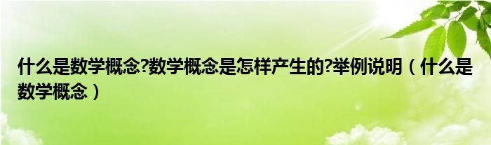 什么是数学概念?数学概念是怎样产生的?举例说明（什么是数学概念）