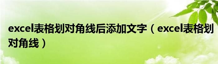 excel表格划对角线后添加文字（excel表格划对角线）