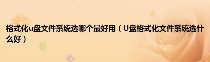格式化u盘文件系统选哪个最好用（U盘格式化文件系统选什么好）