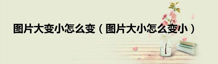 图片大变小怎么变（图片大小怎么变小）