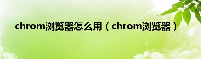 chrom浏览器怎么用（chrom浏览器）