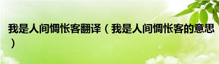 我是人间惆怅客翻译（我是人间惆怅客的意思）