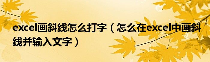 excel画斜线怎么打字（怎么在excel中画斜线并输入文字）
