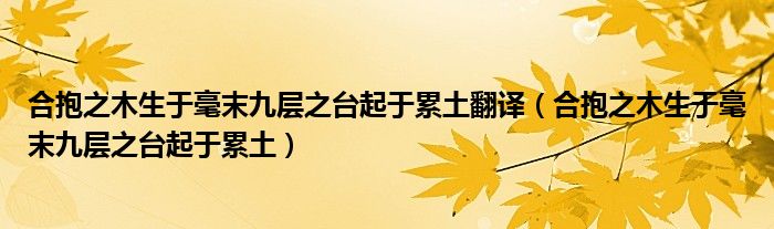 合抱之木生于毫末九层之台起于累土翻译（合抱之木生于毫末九层之台起于累土）