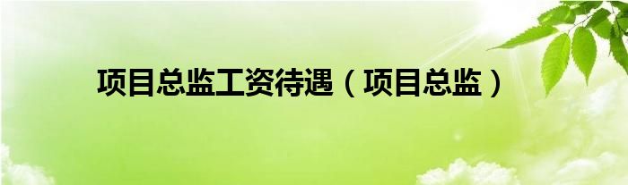 项目总监工资待遇（项目总监）