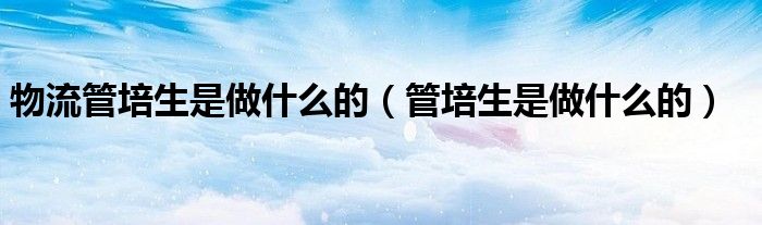 物流管培生是做什么的（管培生是做什么的）