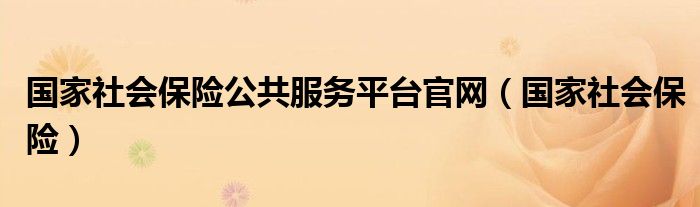 国家社会保险公共服务平台官网（国家社会保险）