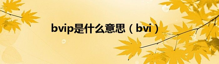 bvip是什么意思（bvi）