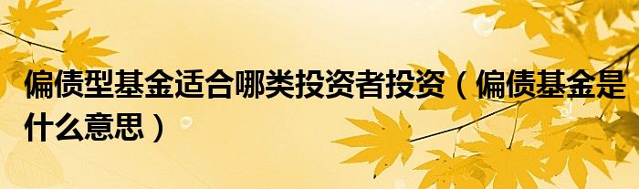 偏债型基金适合哪类投资者投资（偏债基金是什么意思）