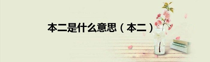 本二是什么意思（本二）