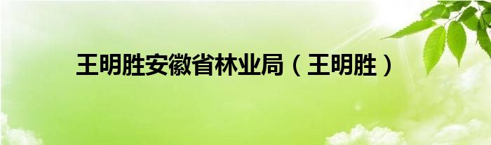 王明胜安徽省林业局（王明胜）