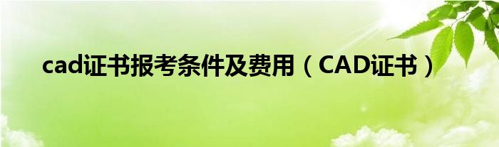 cad证书报考条件及费用（CAD证书）