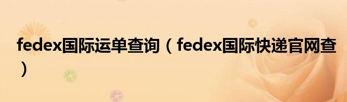 fedex国际运单查询（fedex国际快递官网查）