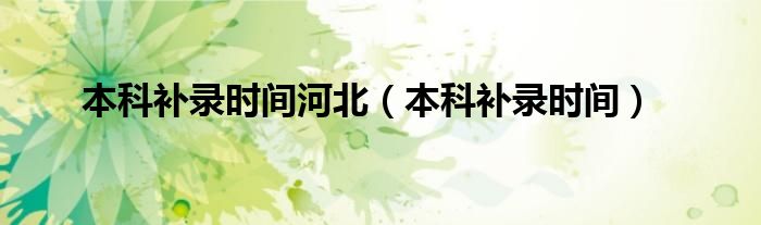 本科补录时间河北（本科补录时间）