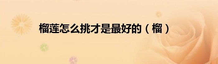 榴莲怎么挑才是最好的（榴）