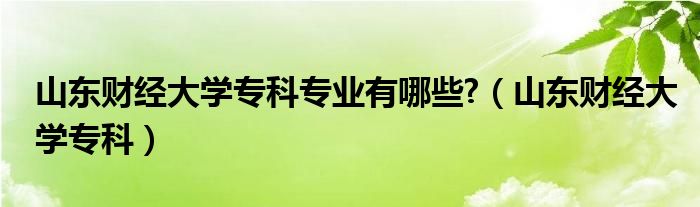 山东财经大学专科专业有哪些?（山东财经大学专科）