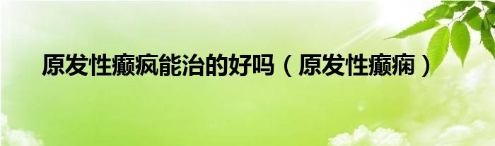 原发性癫疯能治的好吗（原发性癫痫）