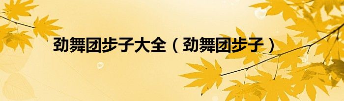劲舞团步子大全（劲舞团步子）