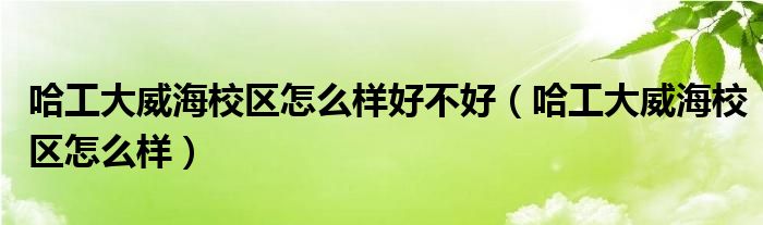 哈工大威海校区怎么样好不好（哈工大威海校区怎么样）
