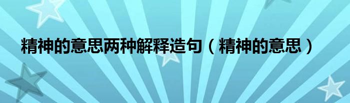 精神的意思两种解释造句（精神的意思）