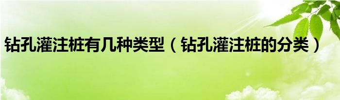 钻孔灌注桩有几种类型（钻孔灌注桩的分类）