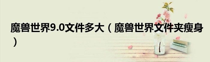 魔兽世界9.0文件多大（魔兽世界文件夹瘦身）