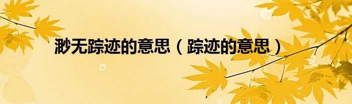 渺无踪迹的意思（踪迹的意思）