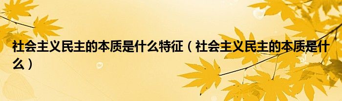 社会主义民主的本质是什么特征（社会主义民主的本质是什么）