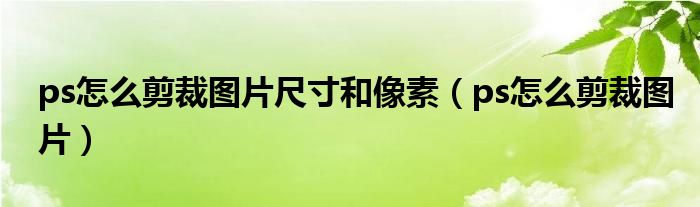ps怎么剪裁图片尺寸和像素（ps怎么剪裁图片）