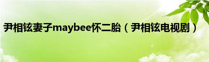 尹相铉妻子maybee怀二胎（尹相铉电视剧）
