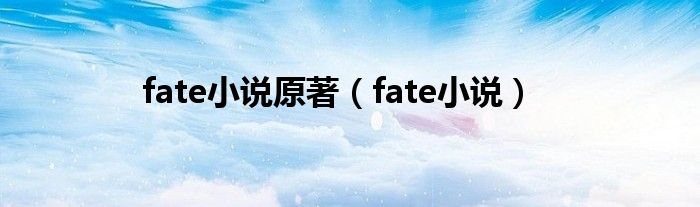 fate小说原著（fate小说）